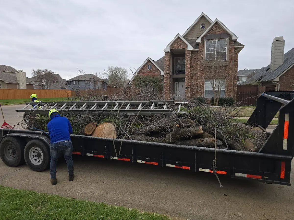 Expert Tree Fertilization with proper safety equipment in Tuxedo Park